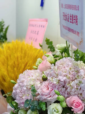 热烈祝贺上海互普网络科技有限公司乔迁新址，开启发展新篇章