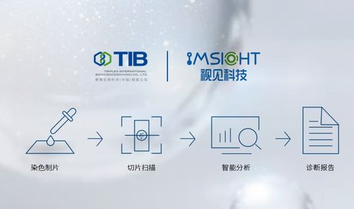 视见科技与泰普生物签署战略合作协议，携手互普科技共启病理诊断智能化新篇章
